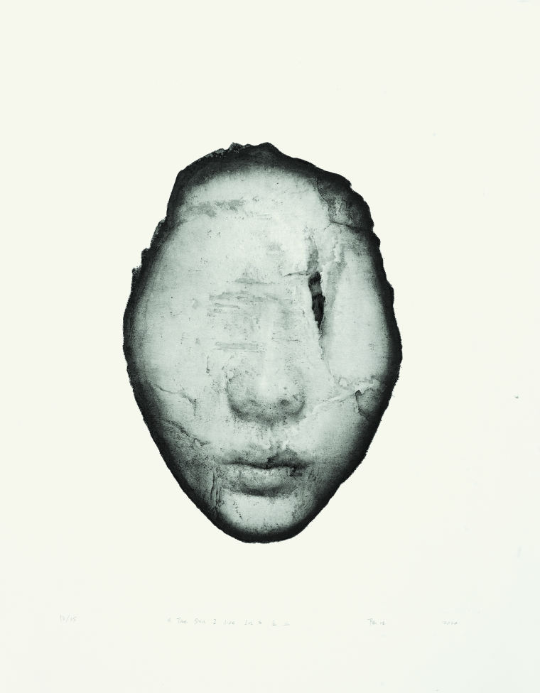 36、陆凡  《The Skin I live in》之二  铜版  50x40cm  2020年  266285