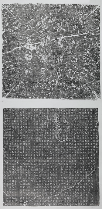 图片 y11
