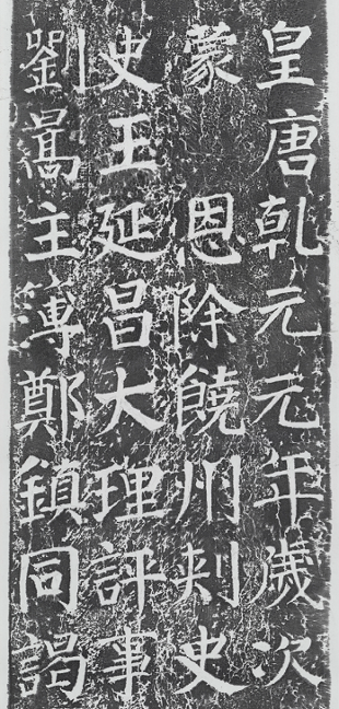 图片 y16