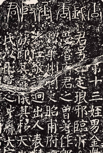 图片 y32