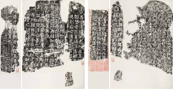 图片 y5