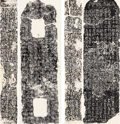 图片 y31