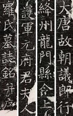 图片 y9