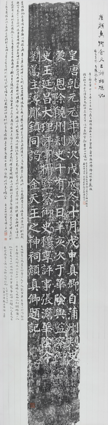 图片 y15