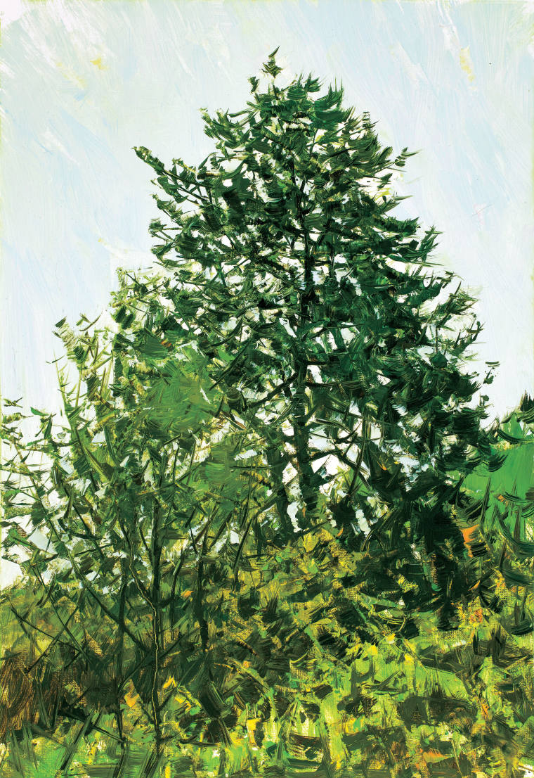 《早春青木》油画 73cm×50cm 2022