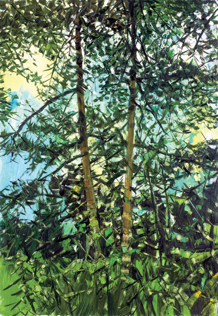 《凤阳有松》油画73cm×50cm 2021