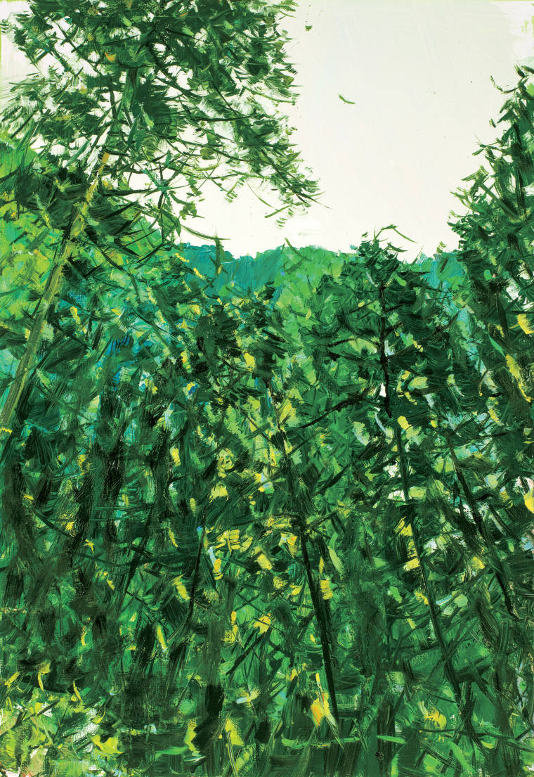 《雁荡皆山》（十）油画 73cm×50cm 2022