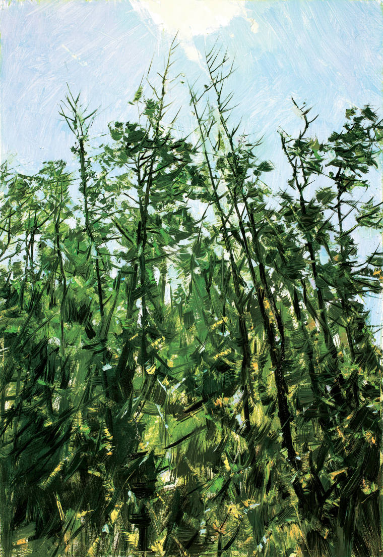 《四明风树》油画 73cm×50cm 2022