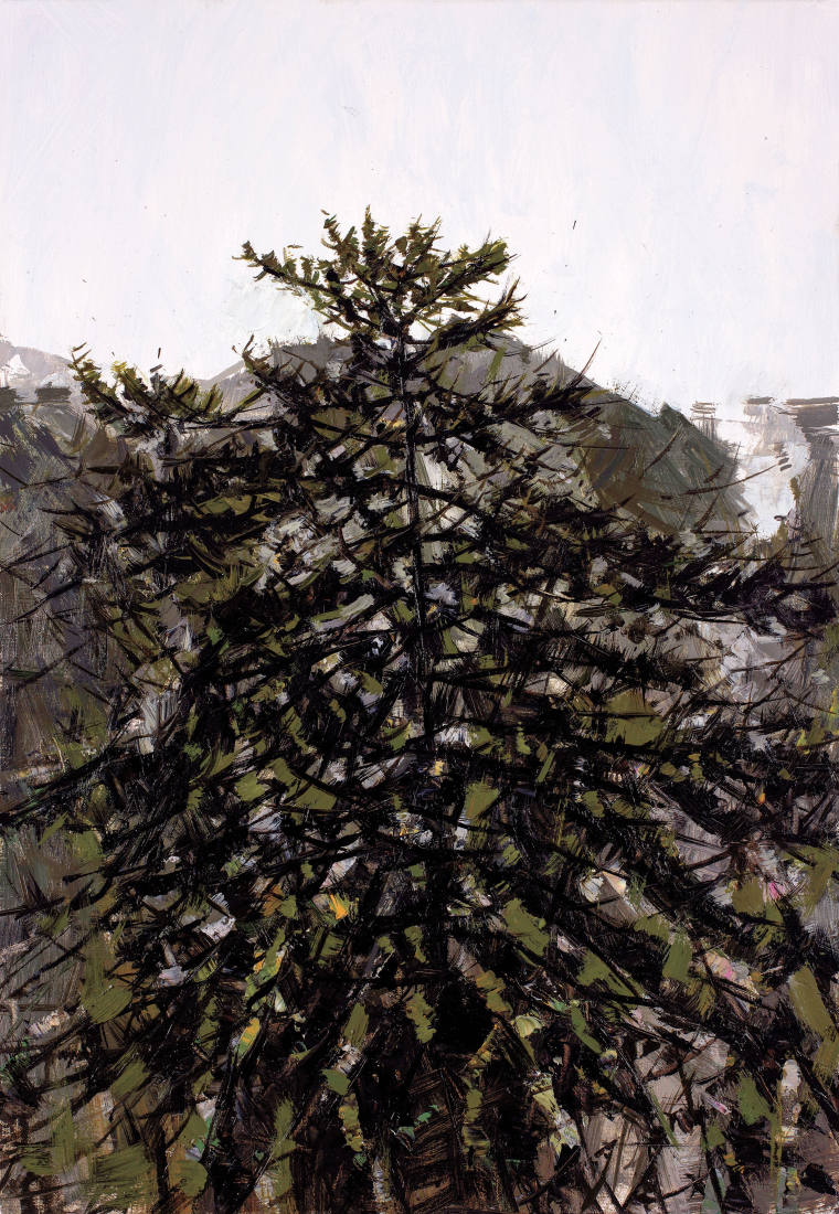 《暮色孤松》（一）油画73cm×50cm 2021