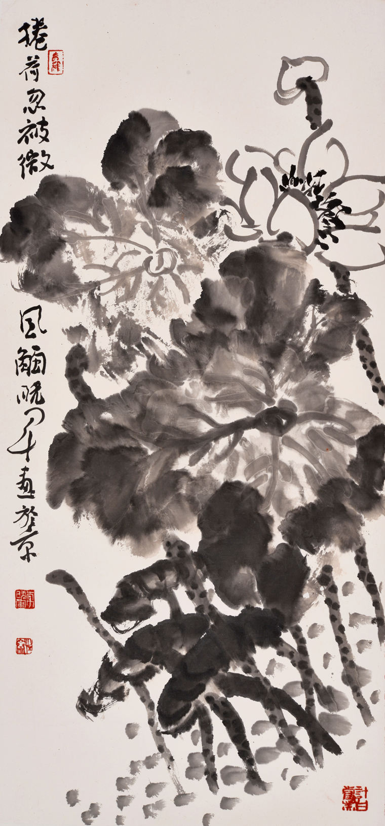 李晓军《卷荷忽被微风触》