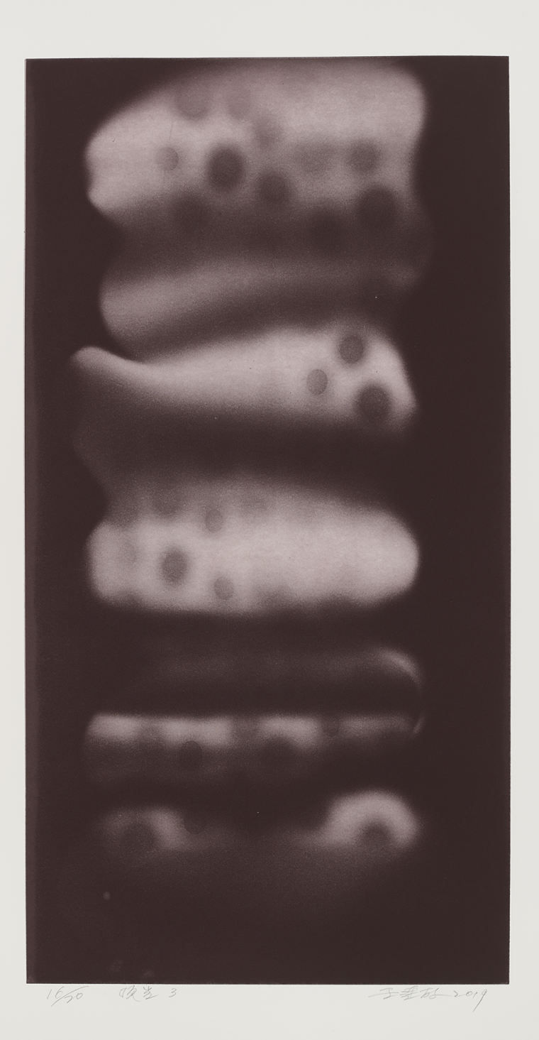 王连敏《顶光3》44x84cm